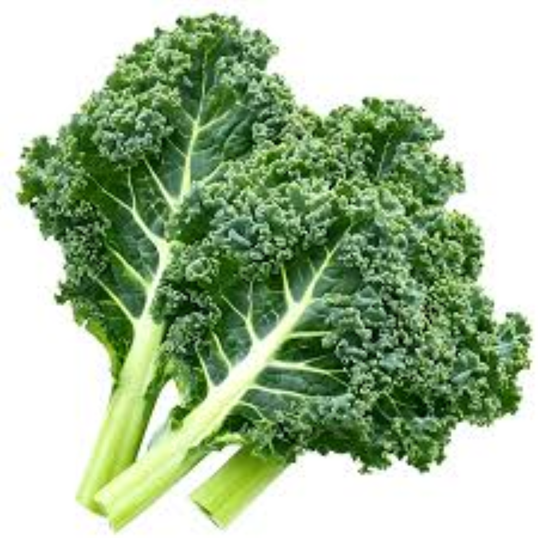 FRESH KALE CURVED 